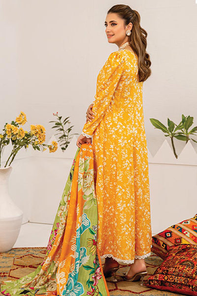 Aangan Linen